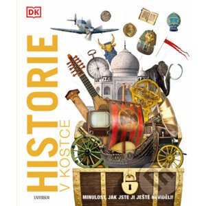 Historie v kostce - Kolektiv autorů