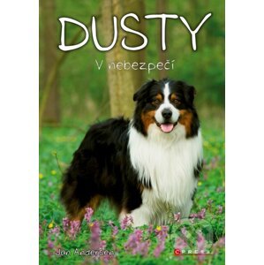 E-kniha Dusty: V nebezpečí - Jan Andersen