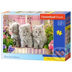Three Grey Kittens - Castorland