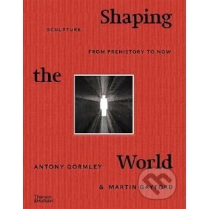 Shaping the World - Antony Gormley, Martin Gayford