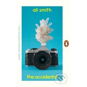 The Accidental - Ali Smith