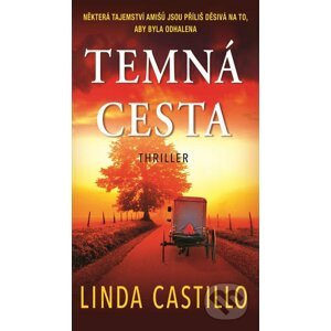 E-kniha Temná cesta - Linda Castillo