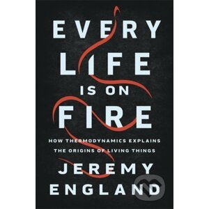 Every Life Is on Fire - Jeremy England