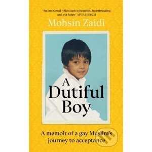 A Dutiful Boy - Mohsin Zaidi