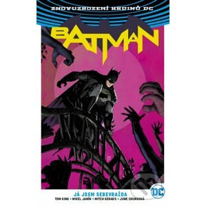 Batman 2: Já jsem sebevražda - Tom King, Mikel Janín (ilustrácie)