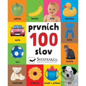 Prvních 100 slov - Svojtka&Co.