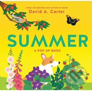 Summer - David Carter