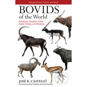 Bovids of the World - José R. Castello