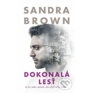 E-kniha Dokonalá lesť - Sandra Brown