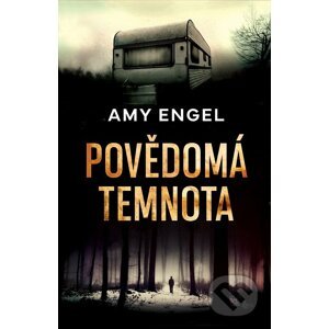 E-kniha Povědomá temnota - Amy Engel