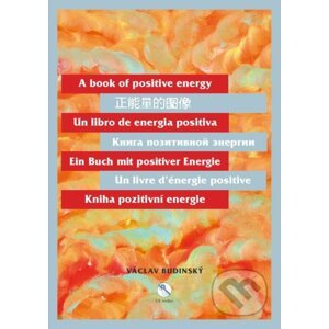 Kniha pozitivní energie (175 x 245 cm) - Václav Budinský