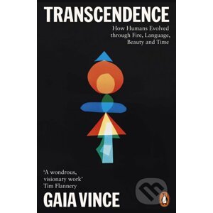 Transcendence - Gaia Vince