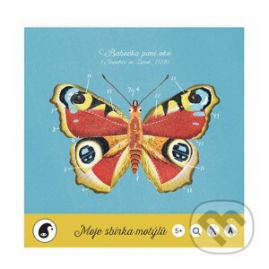 Moje sbírka motýlů - Jitka Musilová, Martin Krkošek (ilustrátor)