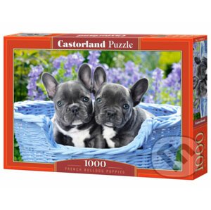 French Bulldog Puppies - Castorland