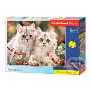 Persian Kittens - Castorland