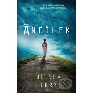 E-kniha Andílek - Lucinda Berry