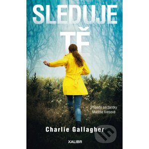 E-kniha Sleduje tě - Charlie Gallagher