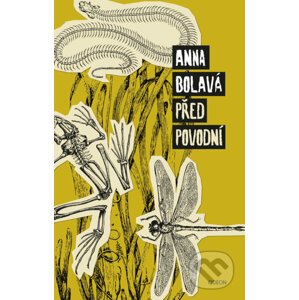 E-kniha Před povodní - Anna Bolavá