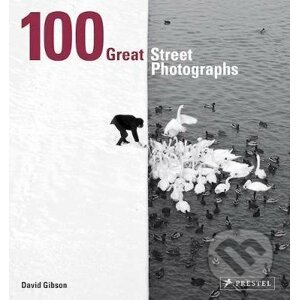 100 Great Street Photographs - David Gibson