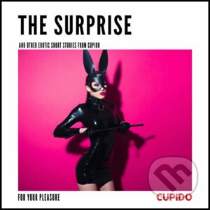 The Surprise - and other erotic short stories from Cupido (EN) - – Cupido