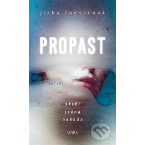 Propast - Jitka Ludvíková