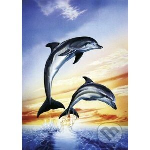 Delfíny - Schmidt