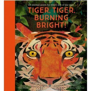 Tiger, Tiger, Burning Bright! - Fiona Waters