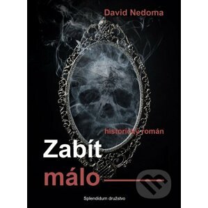 E-kniha Zabít málo - David Nedoma