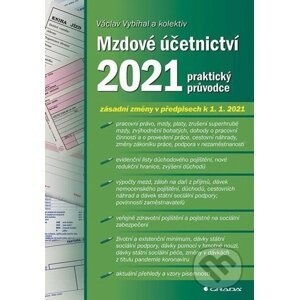 Mzdové účetnictví 2021 - Václav Vybíhal