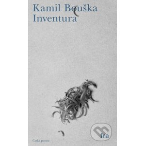 E-kniha Inventura - Kamil Bouška