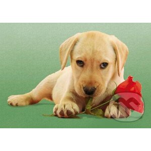 Dog with Rose - Clementoni