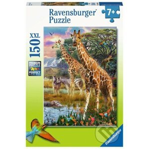 Džungle - Ravensburger