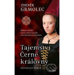 E-kniha Tajemství Černé královny - Zdeněk Grmolec