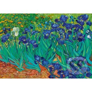 Vincent Van Gogh - Irises, 1889 - Bluebird