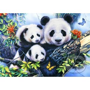 Panda Family - Bluebird