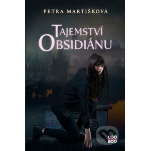 Tajemství obsidiánu - Petra Martišková