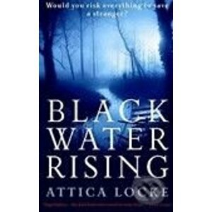 Black Water Rising - Attica Locke