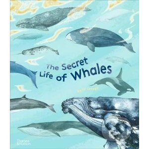The Secret Life of Whales - Rena Ortega