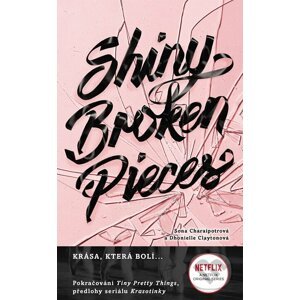 E-kniha Shiny Broken Pieces (český jazyk) - Sona Charaipotra, Dhonielle Clayton