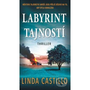 E-kniha Labyrint tajností - Linda Castillo