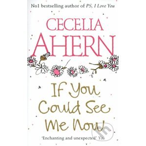 If You Could See Me Now - Cecilia Ahern