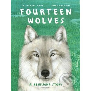 Fourteen Wolves - Catherine Barr, Jenni Desmond (ilustrátor)