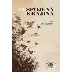 E-kniha Nespojená krajina - Kriglerová Gallo Elena, Chudžíková Holka Alenka (eds.)