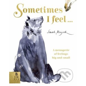 Sometimes I Feel... - Sarah Maycock