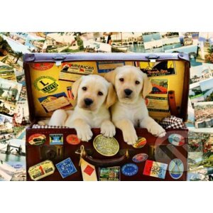Two Travel Puppies - Bluebird