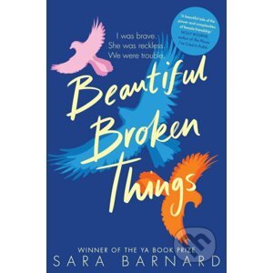 Beautiful Broken Things - Sara Barnard