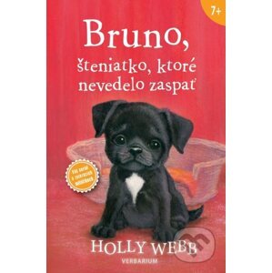 Bruno, šteniatko, ktoré nevedelo zaspať - Holly Webb