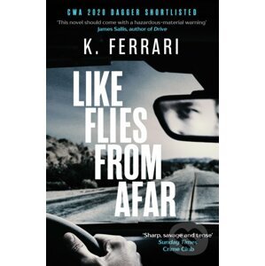 Like Flies from Afar - K. Ferrari