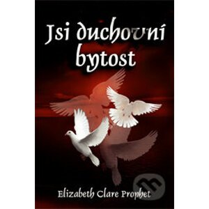 Jsi duchovní bytost - Elizabeth Clare Prophet