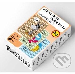 Učenie hrou 4-jazyčné karty 3v1 / Učení hrou - Lauko Promotion